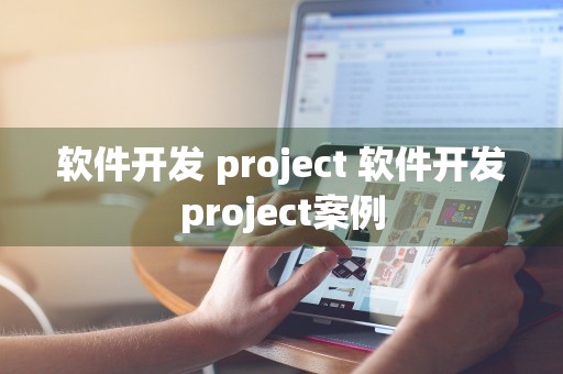 软件开发 project 软件开发project案例