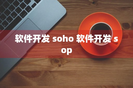 软件开发 soho 软件开发 sop