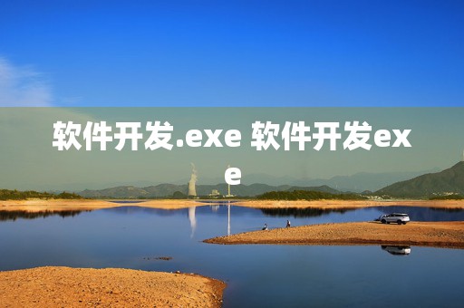 软件开发.exe 软件开发exe