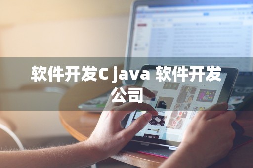 软件开发C java 软件开发公司