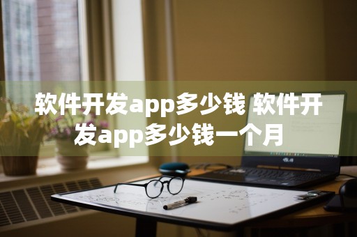 软件开发app多少钱 软件开发app多少钱一个月