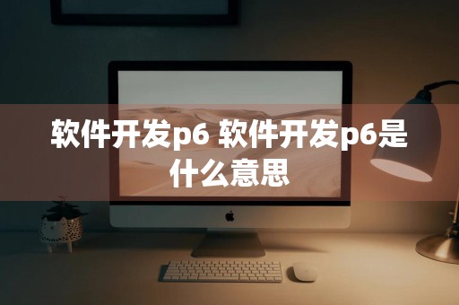 软件开发p6 软件开发p6是什么意思