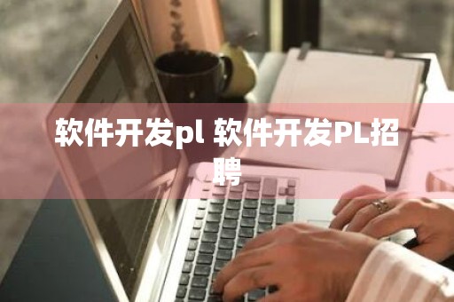 软件开发pl 软件开发PL招聘