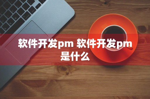 软件开发pm 软件开发pm是什么