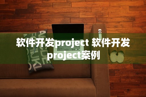 软件开发project 软件开发project案例