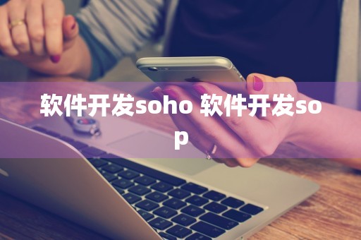 软件开发soho 软件开发sop