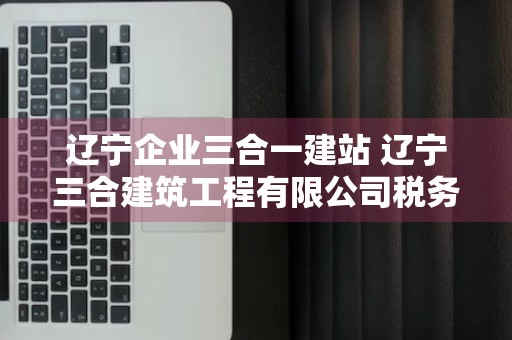 辽宁企业三合一建站 辽宁三合建筑工程有限公司税务违法信息