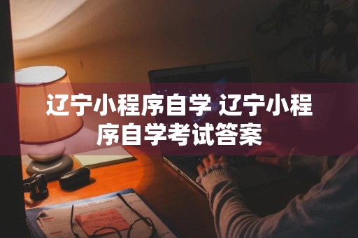 辽宁小程序自学 辽宁小程序自学考试答案