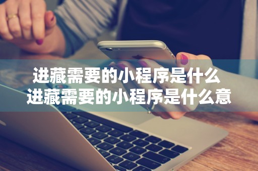 进藏需要的小程序是什么 进藏需要的小程序是什么意思