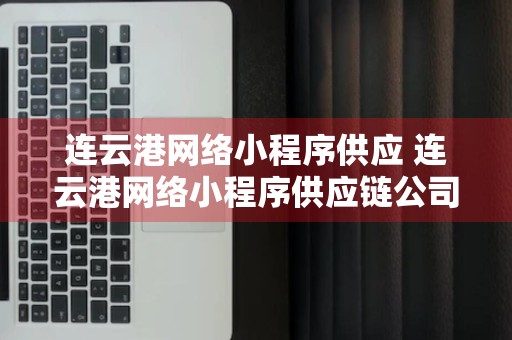 连云港网络小程序供应 连云港网络小程序供应链公司