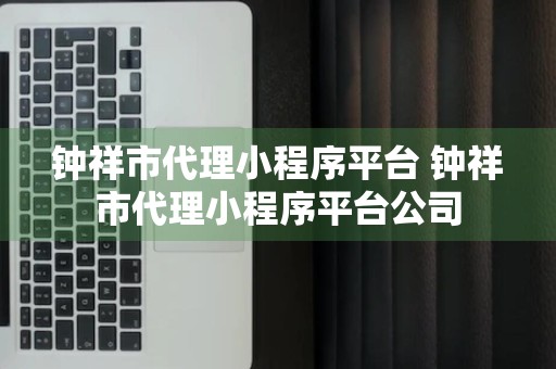 钟祥市代理小程序平台 钟祥市代理小程序平台公司