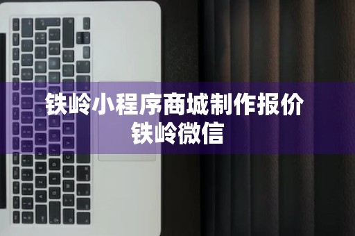 铁岭小程序商城制作报价 铁岭微信