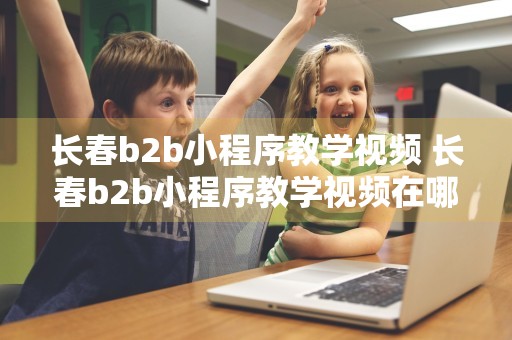 长春b2b小程序教学视频 长春b2b小程序教学视频在哪里看