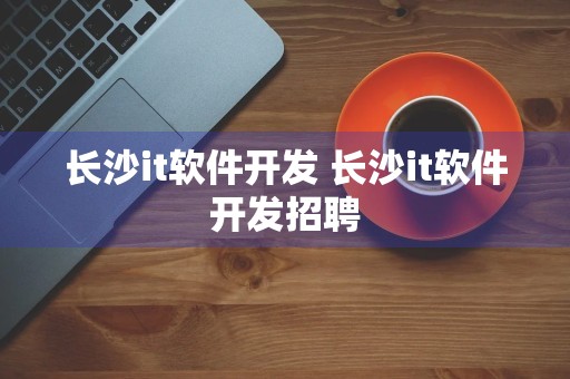 长沙it软件开发 长沙it软件开发招聘