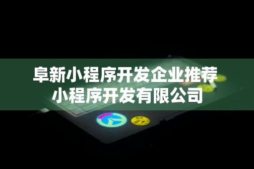 阜新小程序开发企业推荐 小程序开发有限公司