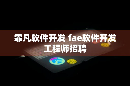 霏凡软件开发 fae软件开发工程师招聘