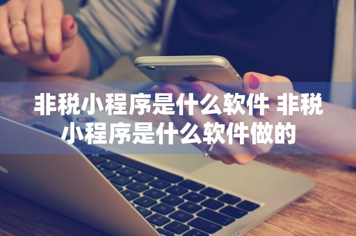 非税小程序是什么软件 非税小程序是什么软件做的