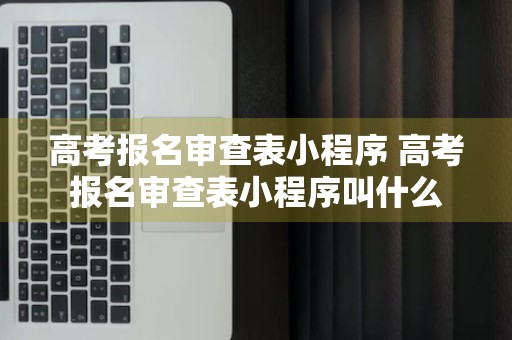 高考报名审查表小程序 高考报名审查表小程序叫什么