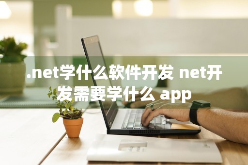 .net学什么软件开发 net开发需要学什么 app