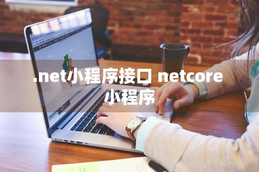 .net小程序接口 netcore 小程序