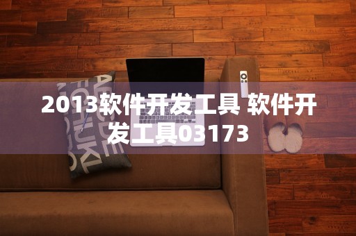 2013软件开发工具 软件开发工具03173