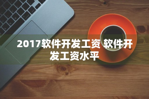 2017软件开发工资 软件开发工资水平