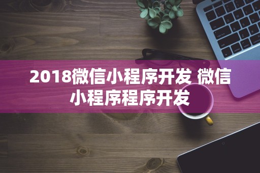 2018微信小程序开发 微信小程序程序开发