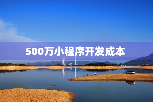 500万小程序开发成本 