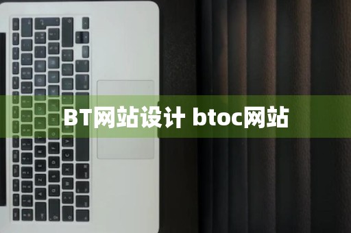 BT网站设计 btoc网站