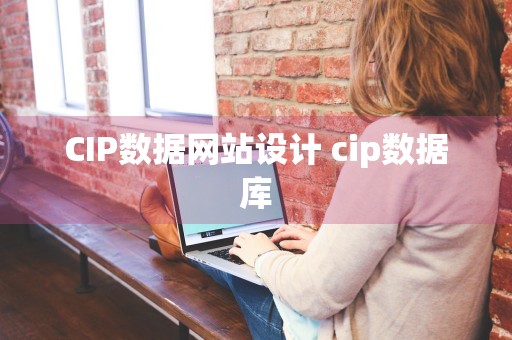 CIP数据网站设计 cip数据库