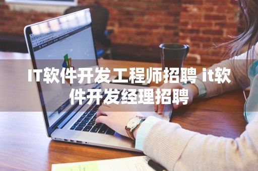 IT软件开发工程师招聘 it软件开发经理招聘