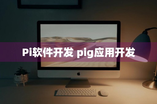 Pi软件开发 pig应用开发