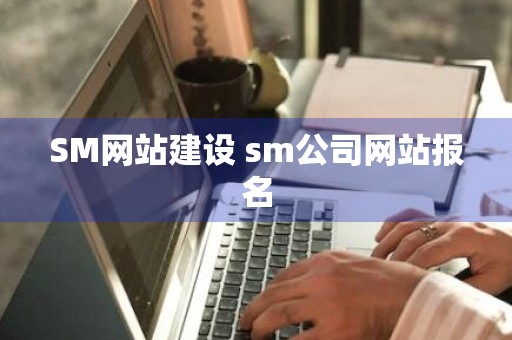 SM网站建设 sm公司网站报名
