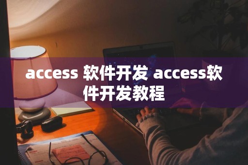 access 软件开发 access软件开发教程