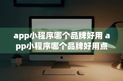 app小程序哪个品牌好用 app小程序哪个品牌好用点