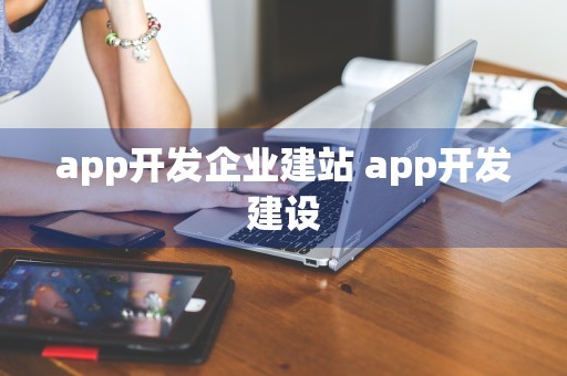 app开发企业建站 app开发建设