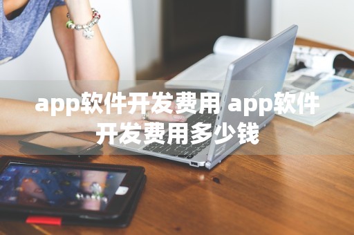 app软件开发费用 app软件开发费用多少钱