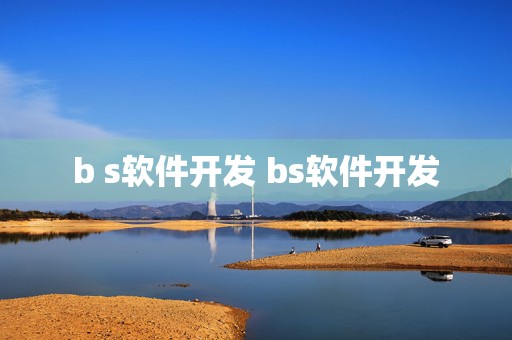 b s软件开发 bs软件开发