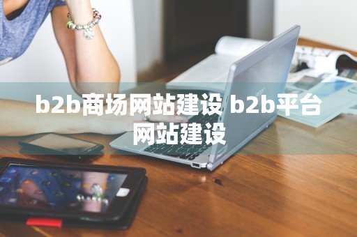 b2b商场网站建设 b2b平台网站建设