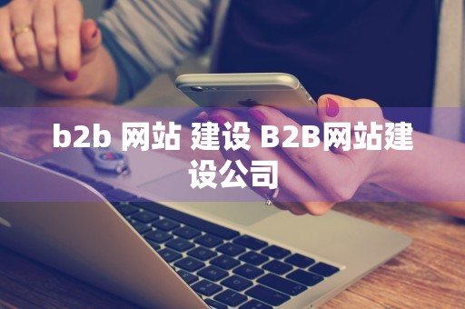 b2b 网站 建设 B2B网站建设公司