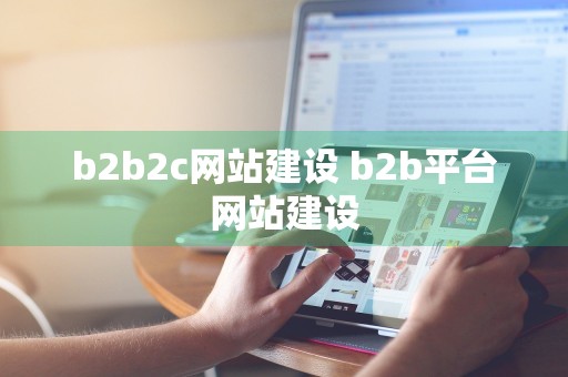 b2b2c网站建设 b2b平台网站建设