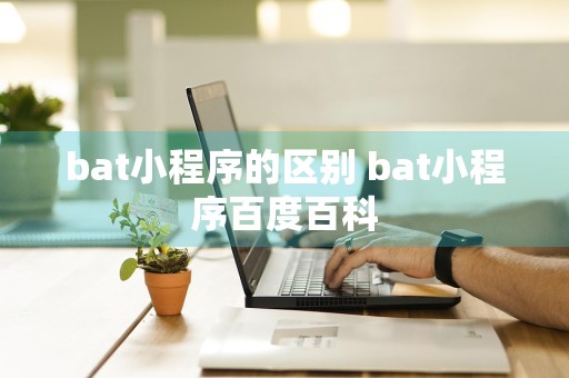 bat小程序的区别 bat小程序百度百科