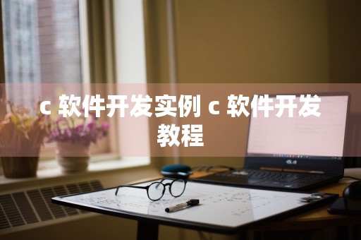 c 软件开发实例 c 软件开发教程