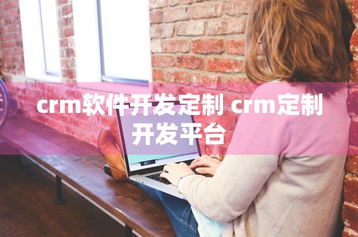 crm软件开发定制 crm定制开发平台