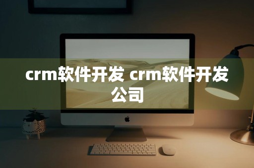 crm软件开发 crm软件开发公司