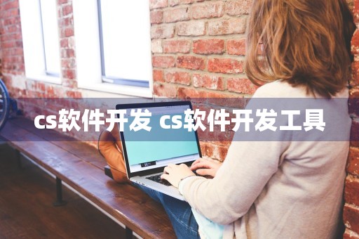 cs软件开发 cs软件开发工具