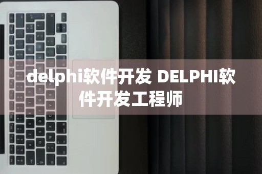 delphi软件开发 DELPHI软件开发工程师