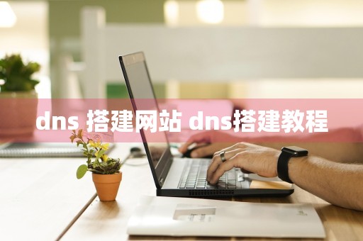 dns 搭建网站 dns搭建教程