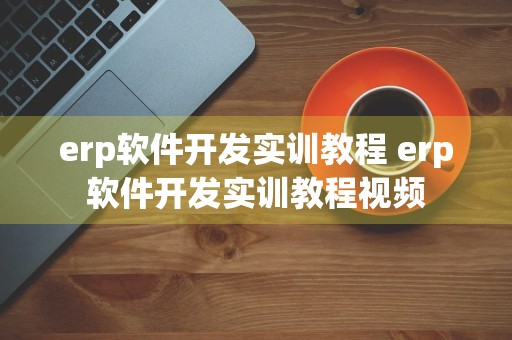 erp软件开发实训教程 erp软件开发实训教程视频