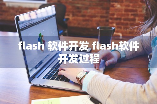 flash 软件开发 flash软件开发过程